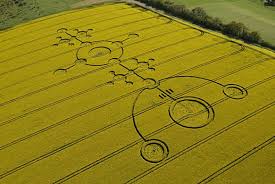 Image result for crop circles