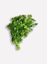 Image result for Koriander