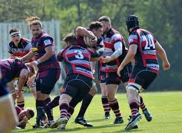 Image result for Dunstablians Rugby Union Football Club