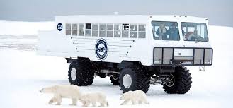 Image result for tundra buggy