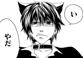 「因幡洋 キューティクル探偵因幡」の画像検索結果