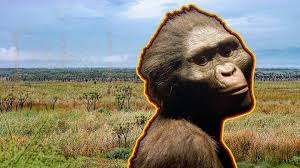 Image result for lucy