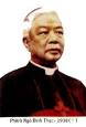 Most Rev Peter Martin Ngo Dinh Thuc - dc-thuc