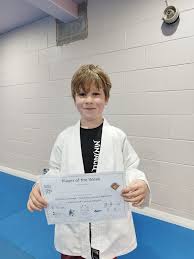 Image result for Merseyside judo association