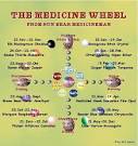 Sun Bear Medicine Wheel Diagram