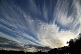 Attēlu rezultāti vaicājumam “Cirrus fibratus”