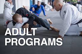 Image result for Roswell Martial Arts KA