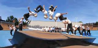 Image result for Skate Extreme