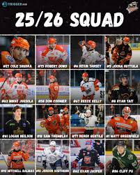 Image result for Sheffield Steelers
