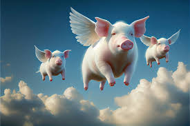 Image result for flying pigs