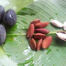 Attēlu rezultāti vaicājumam “Galium schultesii fruit”