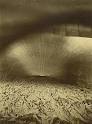 wood s lot ::: "the fitful tracing of a portal"