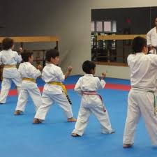 Image result for Twyford Higashi Karate Club