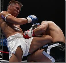Image result for Kao Loi Thai Boxing