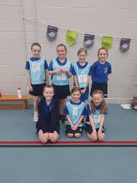 Image result for Beacon Netball Club