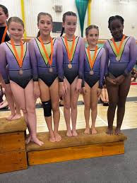 Image result for WALSALL GYMNASTICS CLUB