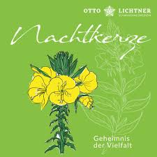 Image result for Nachtkerze
