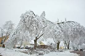 Image result for ice storm