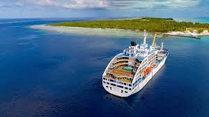 Attēlu rezultāti vaicājumam “Aranei exuvia”