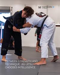 Image result for Intelligent Martial Arts