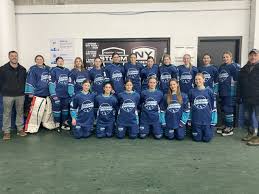 Image result for York University Hockey Club