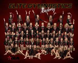 Image result for Epping Forest Elite Gymnastics Club