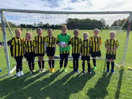 Image result for Hemel Hempstead Rugby League Football Club