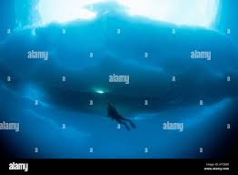 Image result for TAL Divers