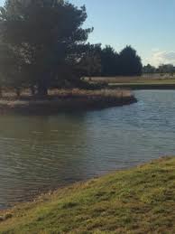 Image result for South Kyme Golf Club