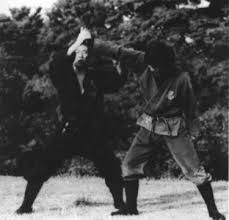 Image result for Bujinkan Ninpo Dojo