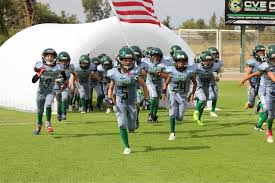 Image result for Hedingham Hawks Youth Football Club