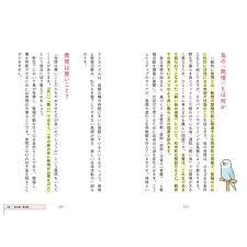 「海老沢和生」の画像検索結果