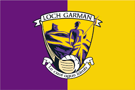 Image result for An Riocht Gaa Club