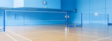 Image result for The Crosses Badminton Club