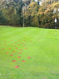 Image result for Okehampton Golf Club