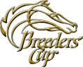 Racing tips - 2011 Breeders' Cup Turf (20:45 GMT), Breeders' Cup ...