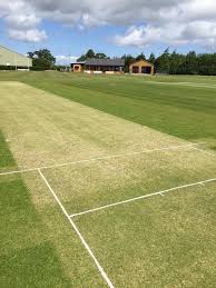 Image result for North Petherton Cricket Club