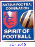 Image result for Old Wokingians Football Club