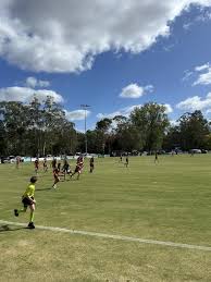 Image result for Lawn Netball Club