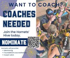 Image result for Hornets Netball Club