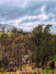 Image result for Strathbogie Rambling Club