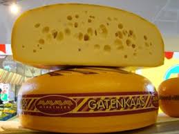 Image result for maasdammer