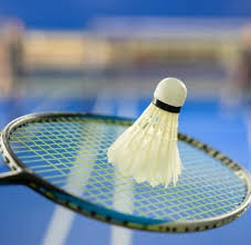 Image result for Halwill Badminton Club