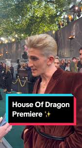 Image result for leicester dragons