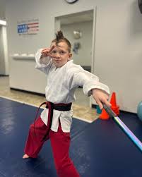 Image result for Vision Martial Arts