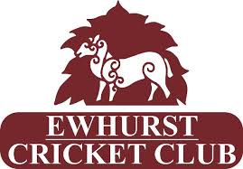 Image result for Worplesdon & Burpham Cricket Club