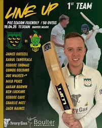 Image result for Three Bridges Cricket Club