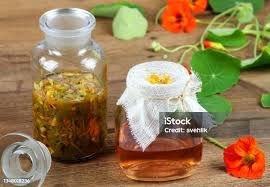 Attēlu rezultāti vaicājumam “Tropaeolum majus fruit”