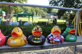 Image result for Pontblyddyn Cricket Club