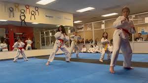Image result for Hetton and Murton Karate Academy